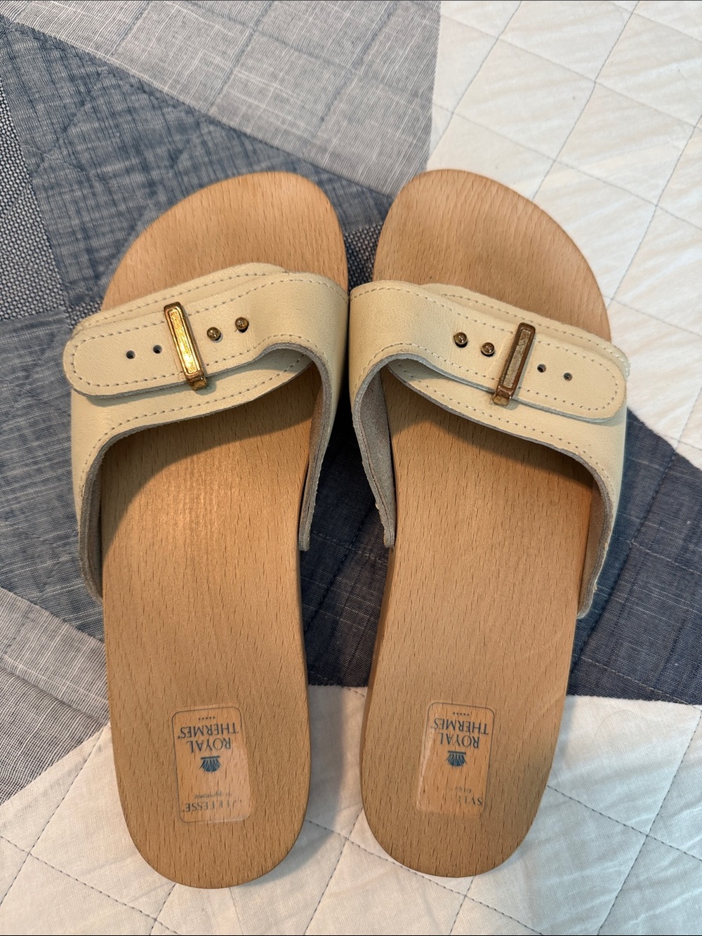 Royal Thermes Sveltesse Beige Slide Sandals with Gold Buckle